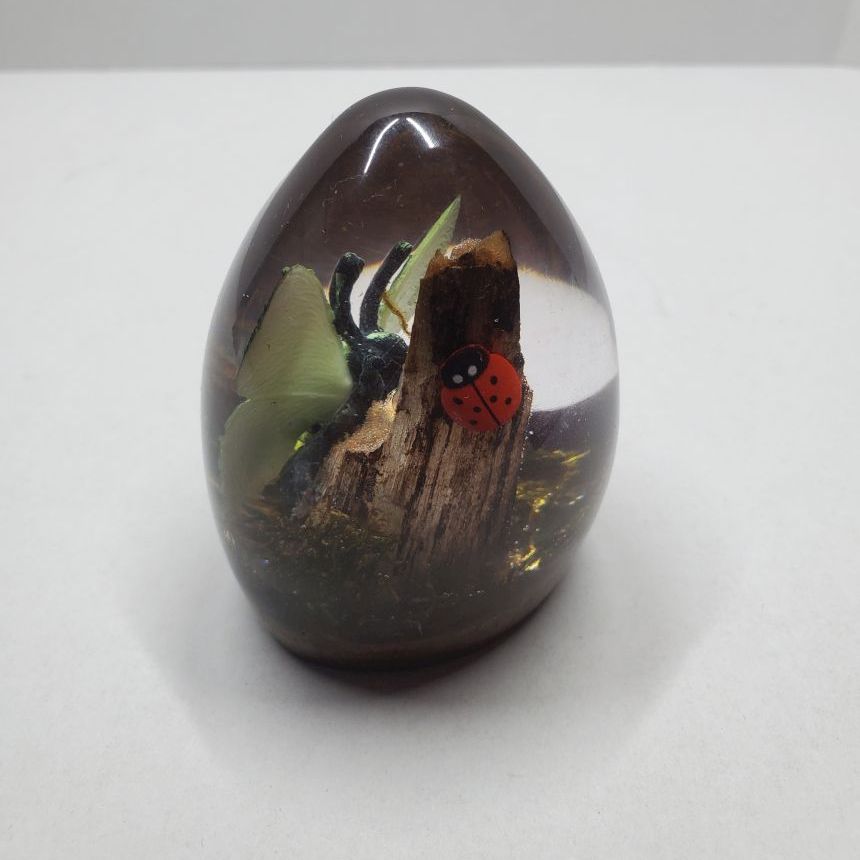 Small Butterfly Egg